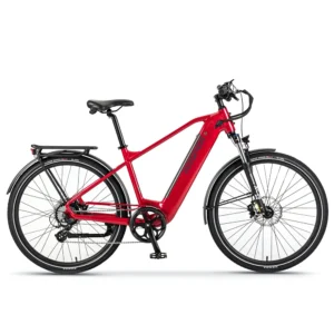 Wisper Wayfarer H9 Hub-Drive Crossbar 43v Power